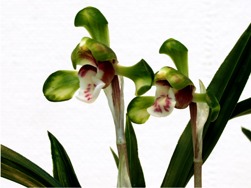 ������ ū������ �� �� �ֽ��ϴ�.