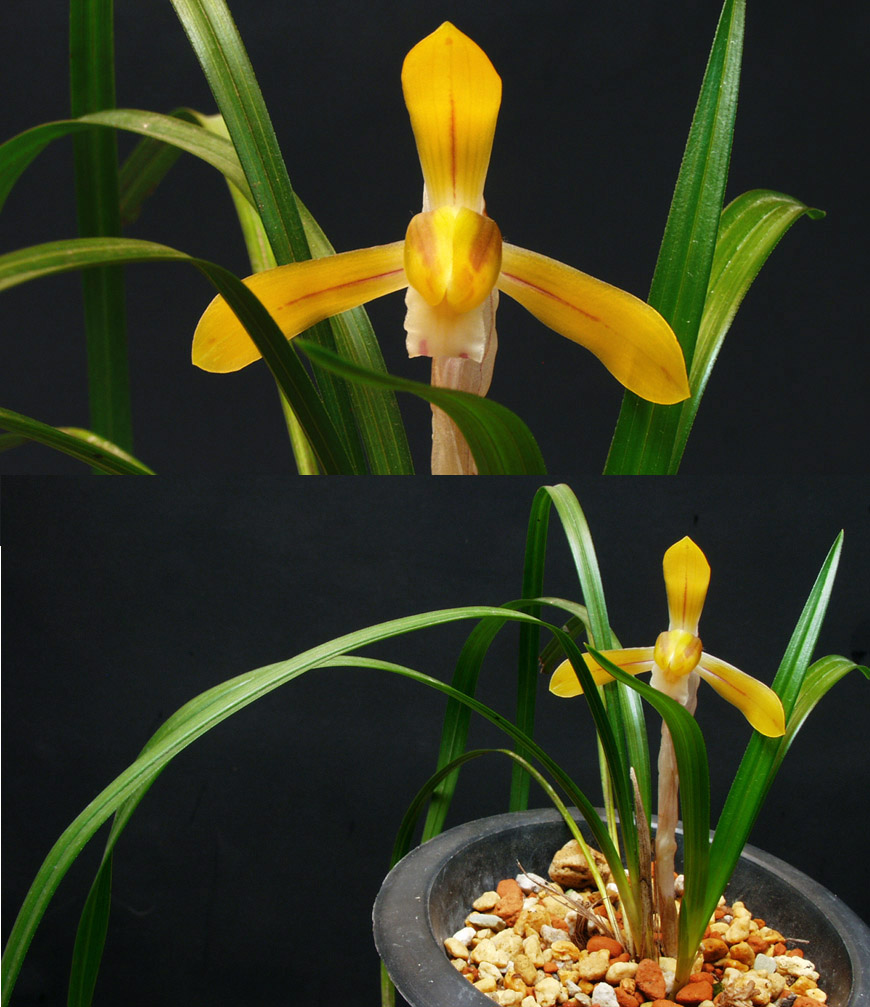 ������ ū������ �� �� �ֽ��ϴ�.