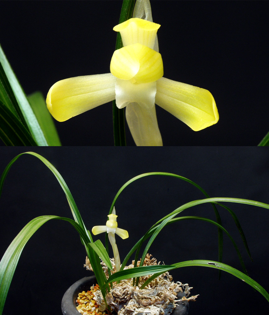 ������ ū������ �� �� �ֽ��ϴ�.