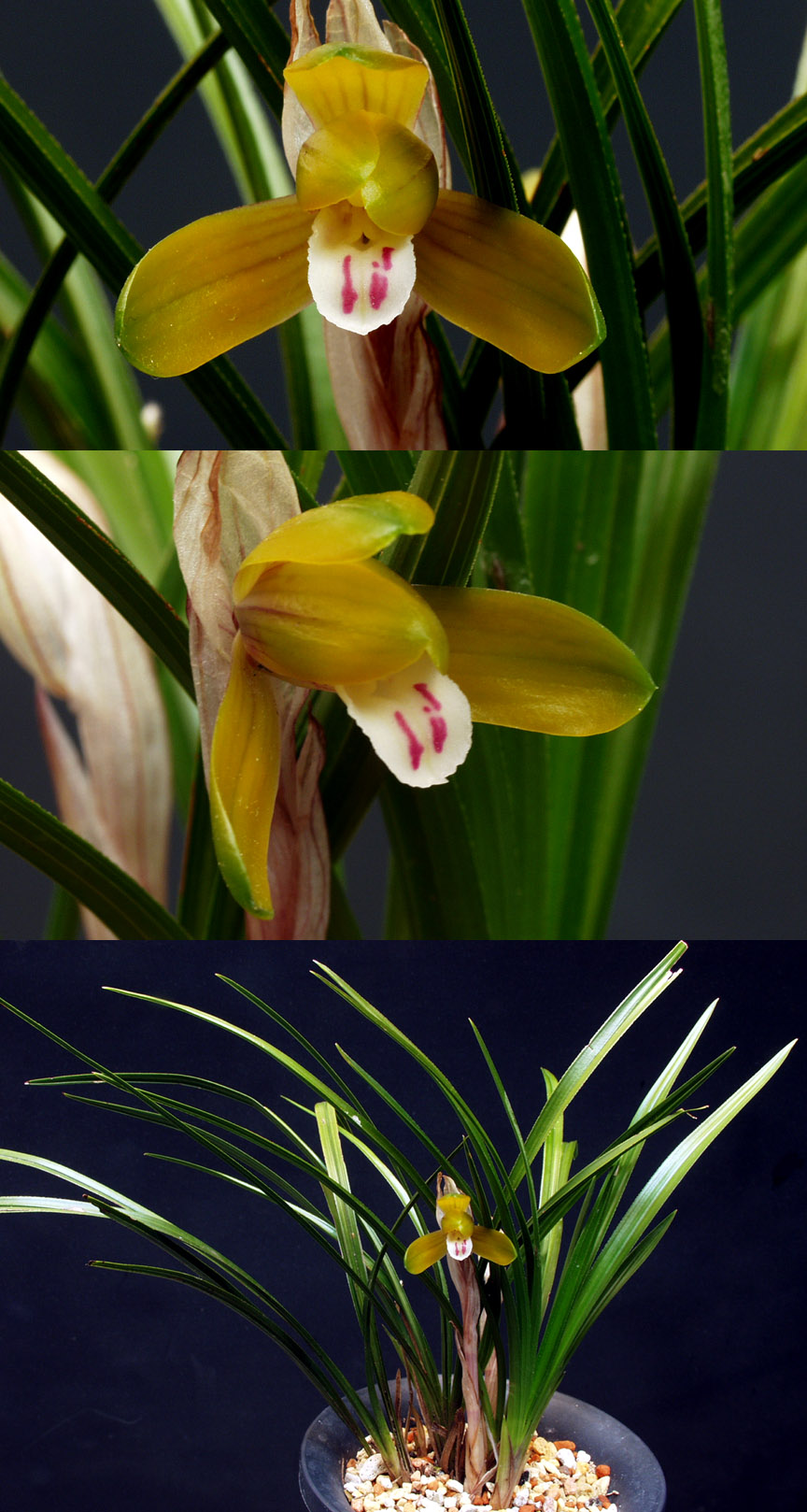 ������ ū������ �� �� �ֽ��ϴ�.