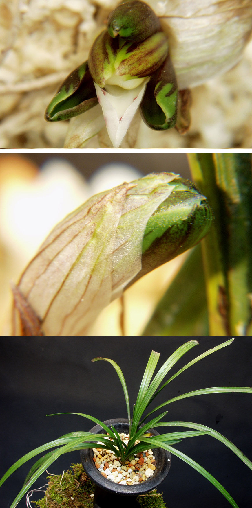 ������ ū������ �� �� �ֽ��ϴ�.