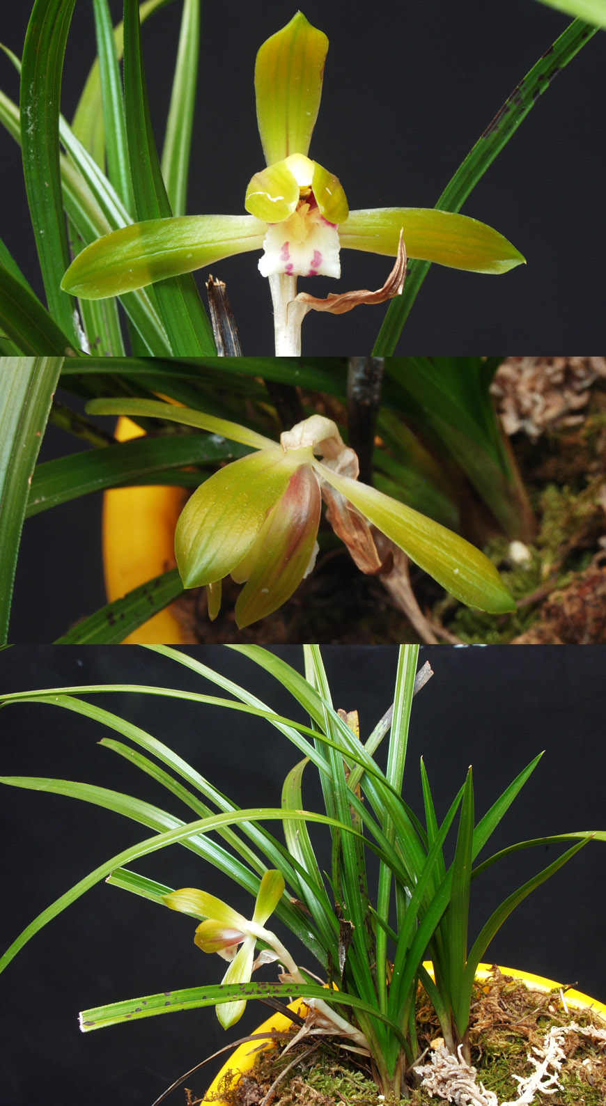 ������ ū������ �� �� �ֽ��ϴ�.