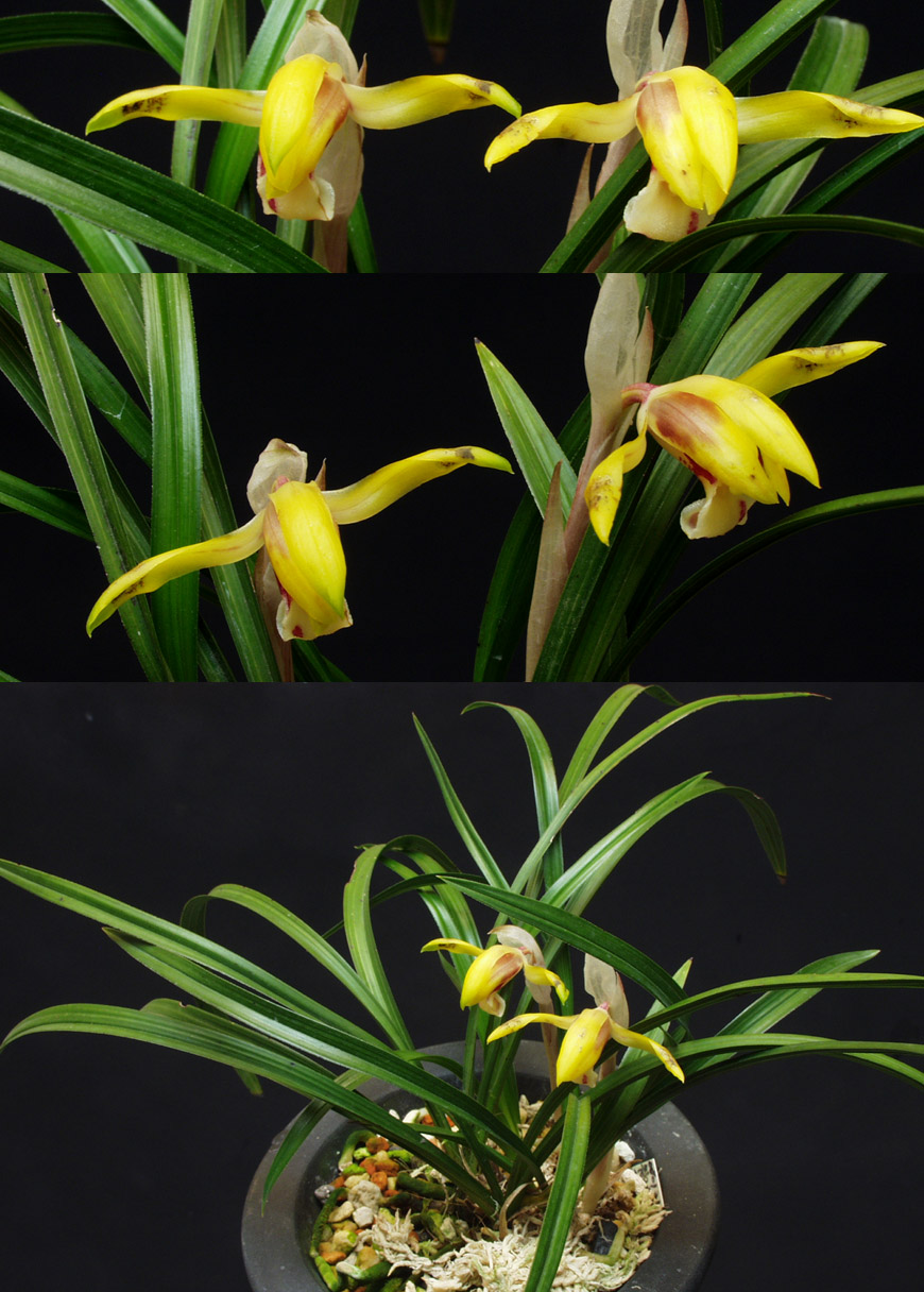 ������ ū������ �� �� �ֽ��ϴ�.