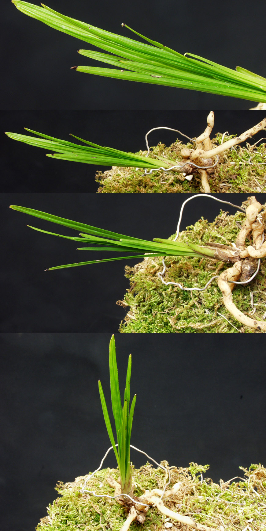 ������ ū������ �� �� �ֽ��ϴ�.