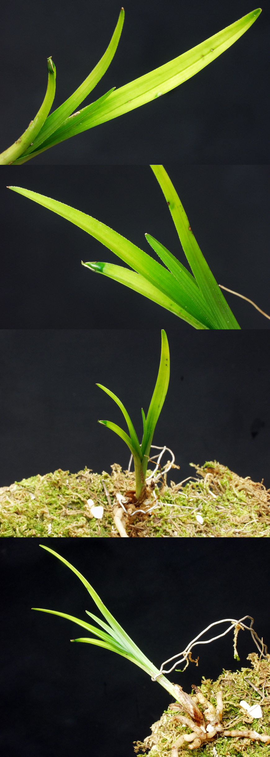 ������ ū������ �� �� �ֽ��ϴ�.