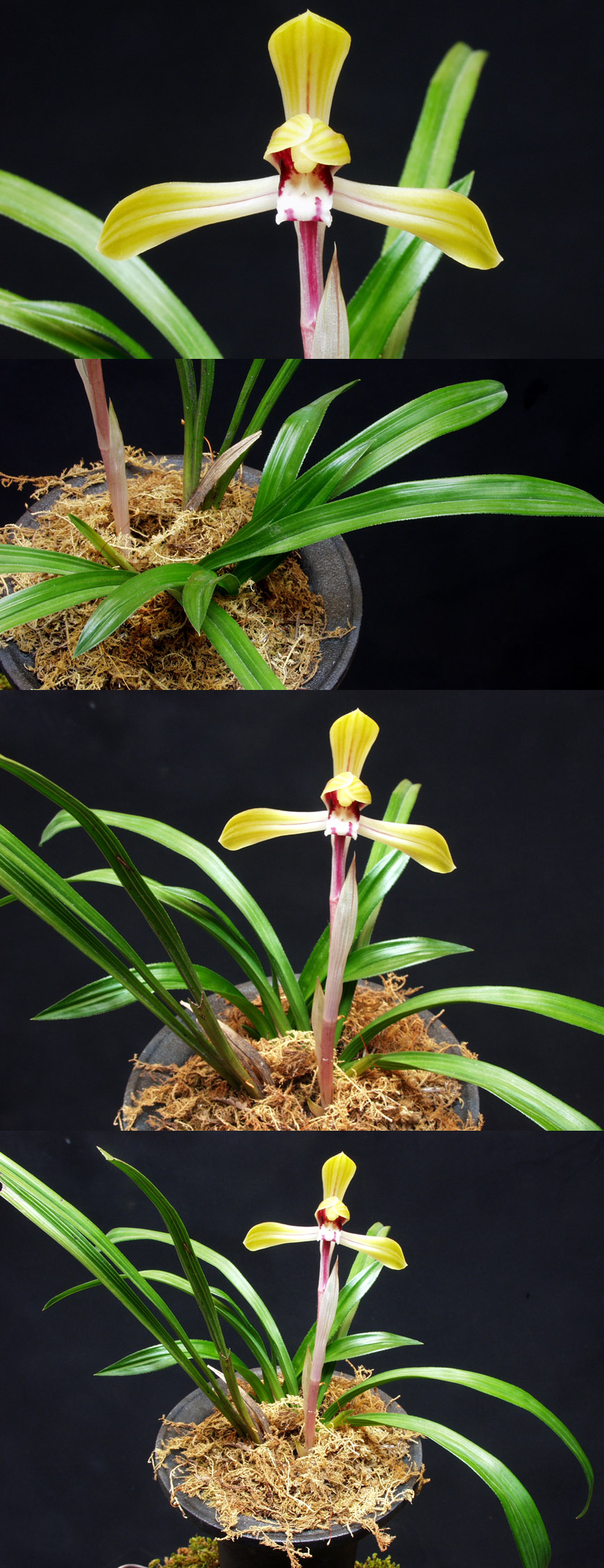 ������ ū������ �� �� �ֽ��ϴ�.