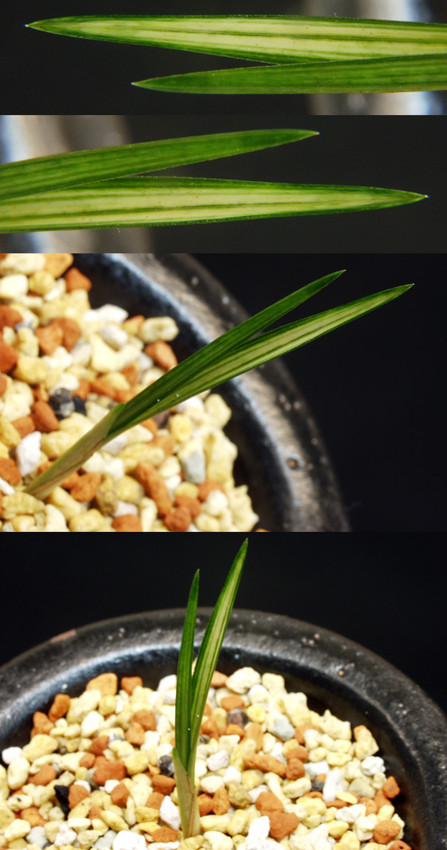 ������ ū������ �� �� �ֽ��ϴ�.