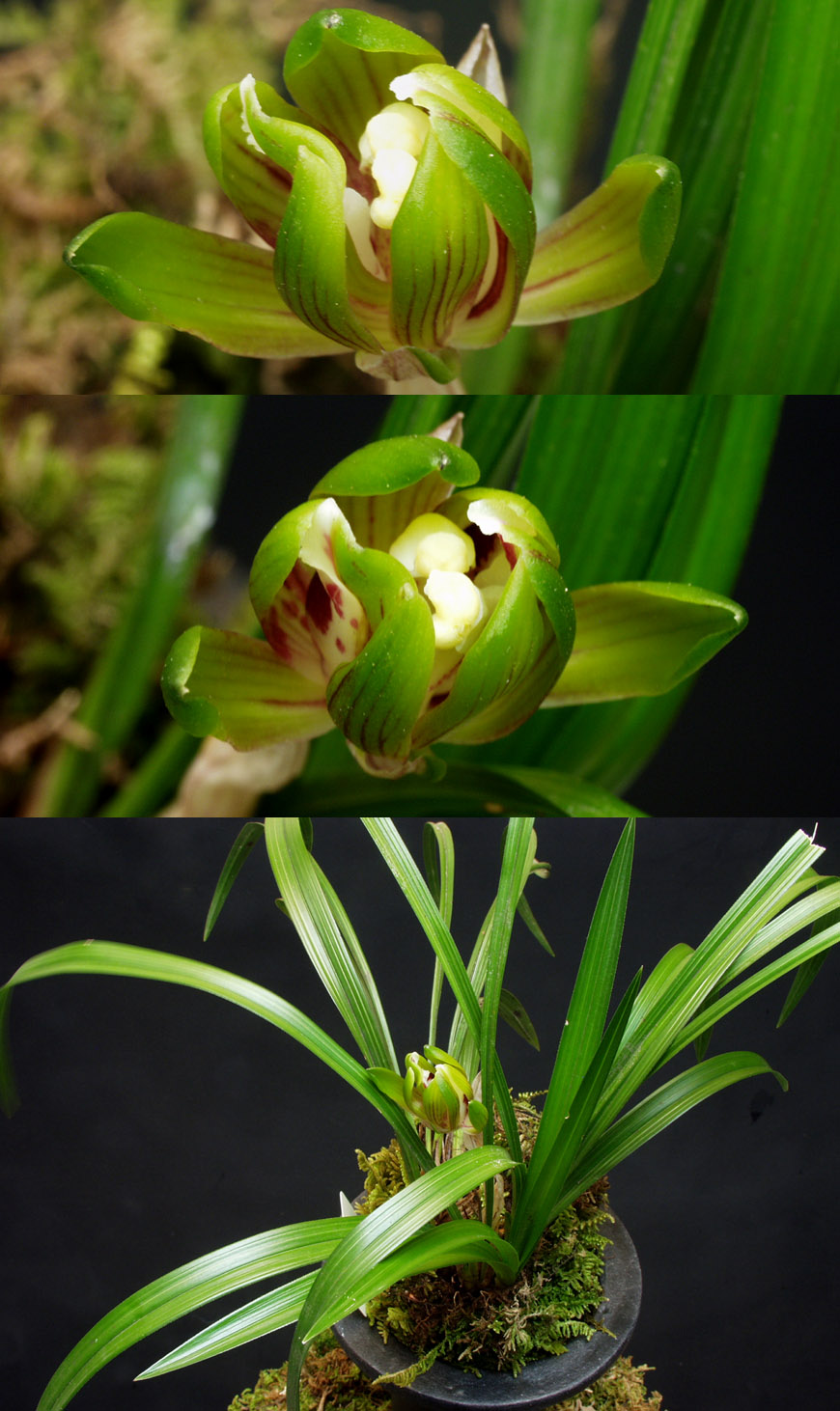 ������ ū������ �� �� �ֽ��ϴ�.