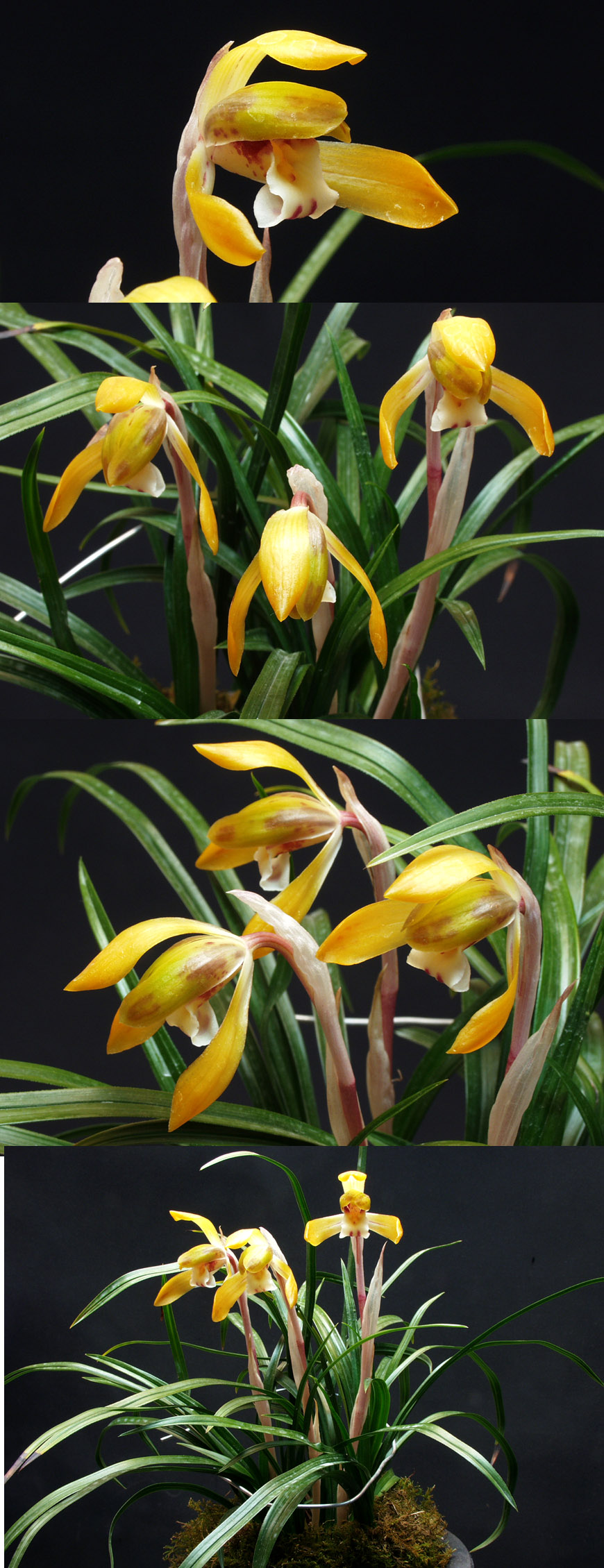 ������ ū������ �� �� �ֽ��ϴ�.