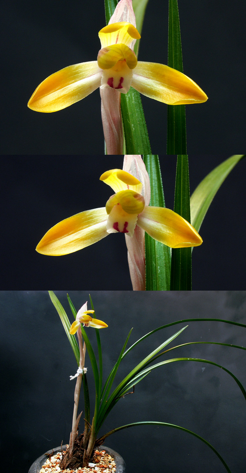 ������ ū������ �� �� �ֽ��ϴ�.