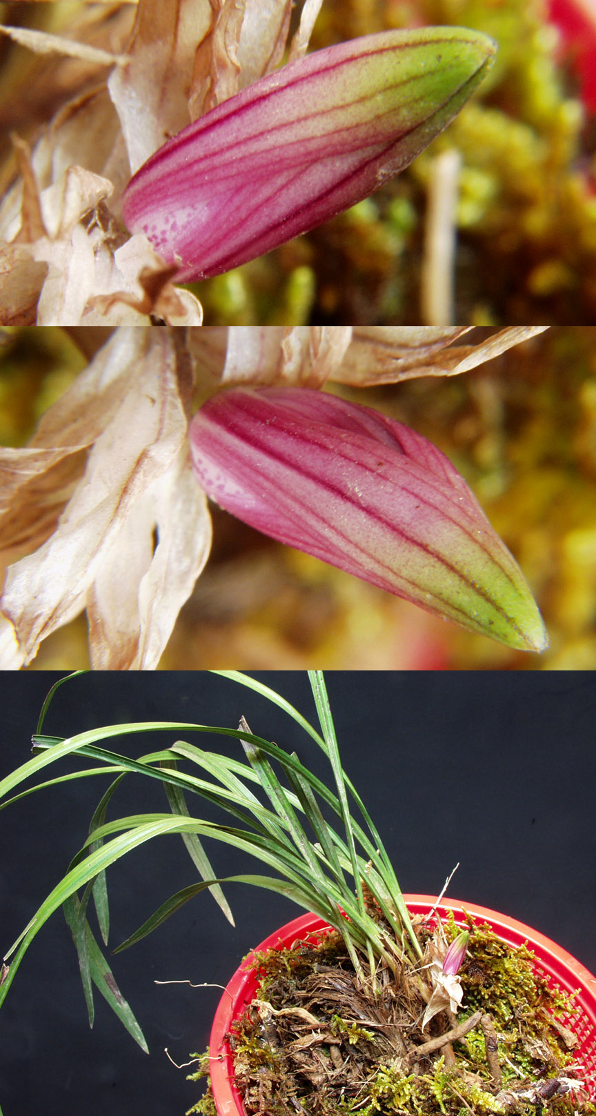 ������ ū������ �� �� �ֽ��ϴ�.