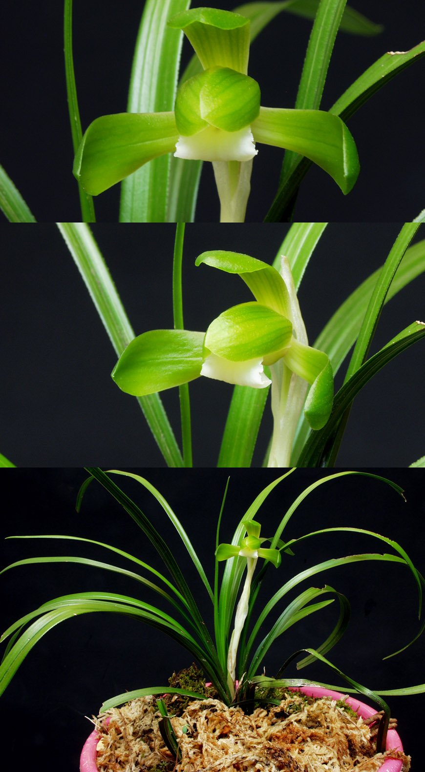 ������ ū������ �� �� �ֽ��ϴ�.