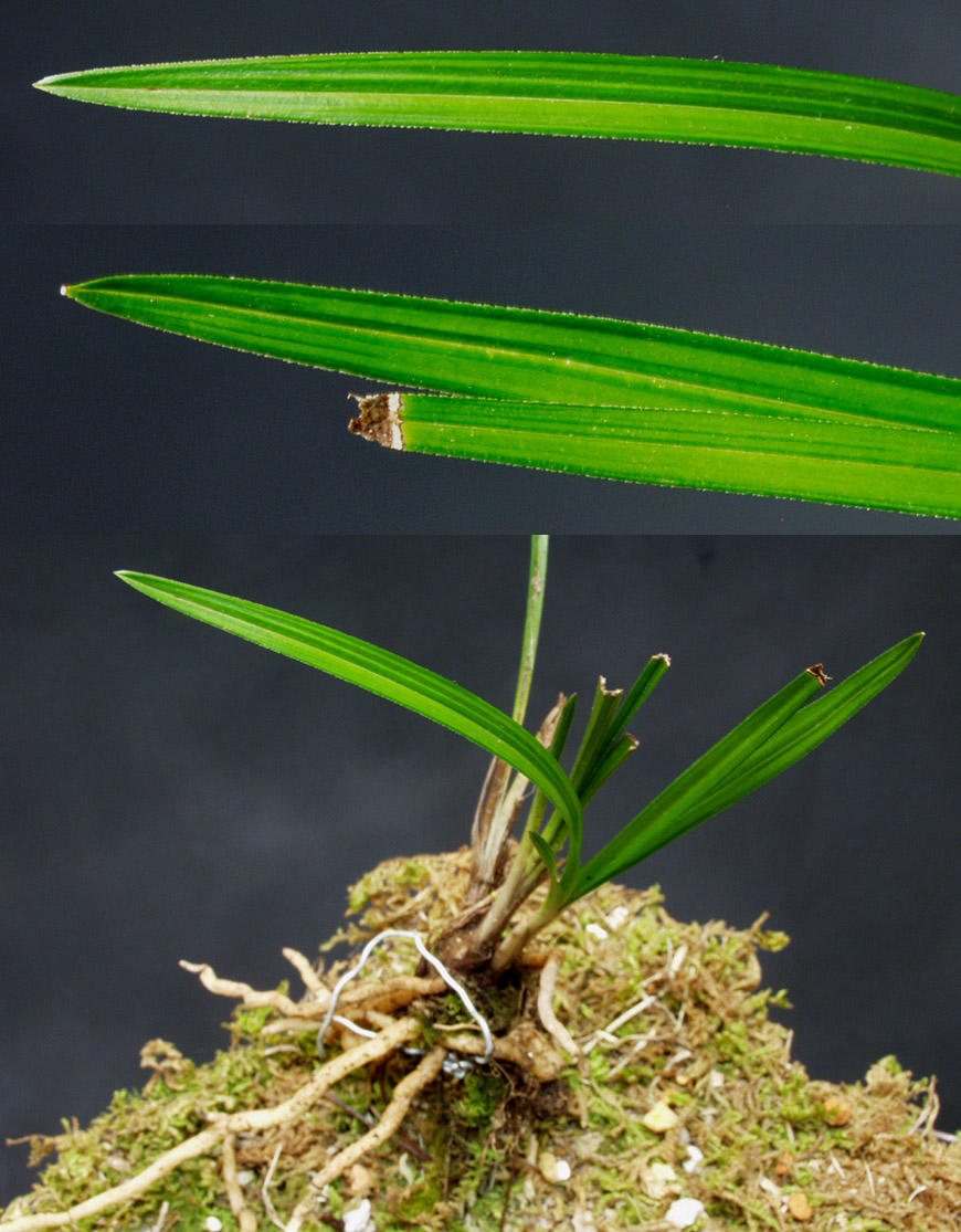 ������ ū������ �� �� �ֽ��ϴ�.