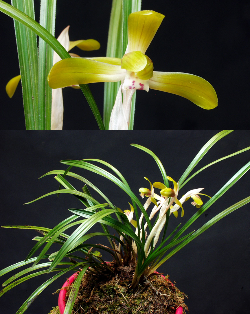 ������ ū������ �� �� �ֽ��ϴ�.