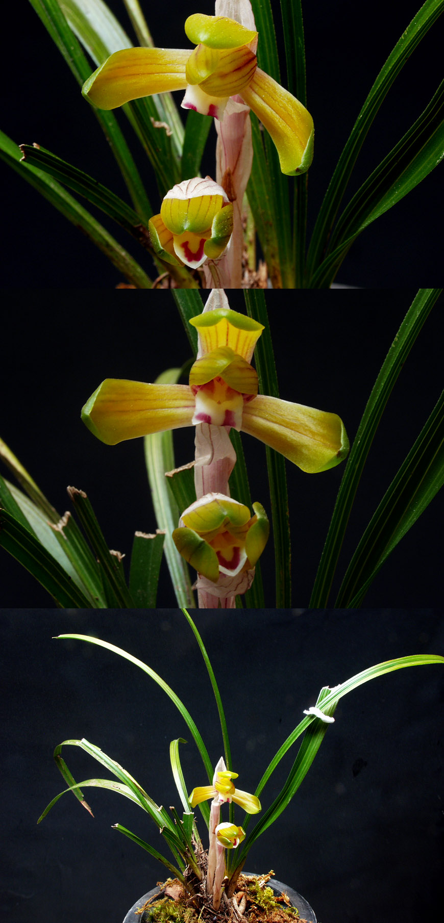 ������ ū������ �� �� �ֽ��ϴ�.