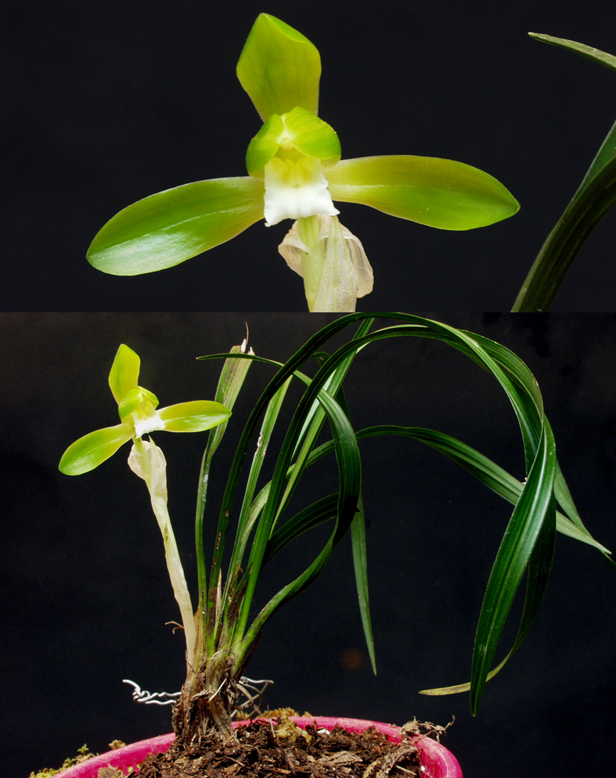 ������ ū������ �� �� �ֽ��ϴ�.