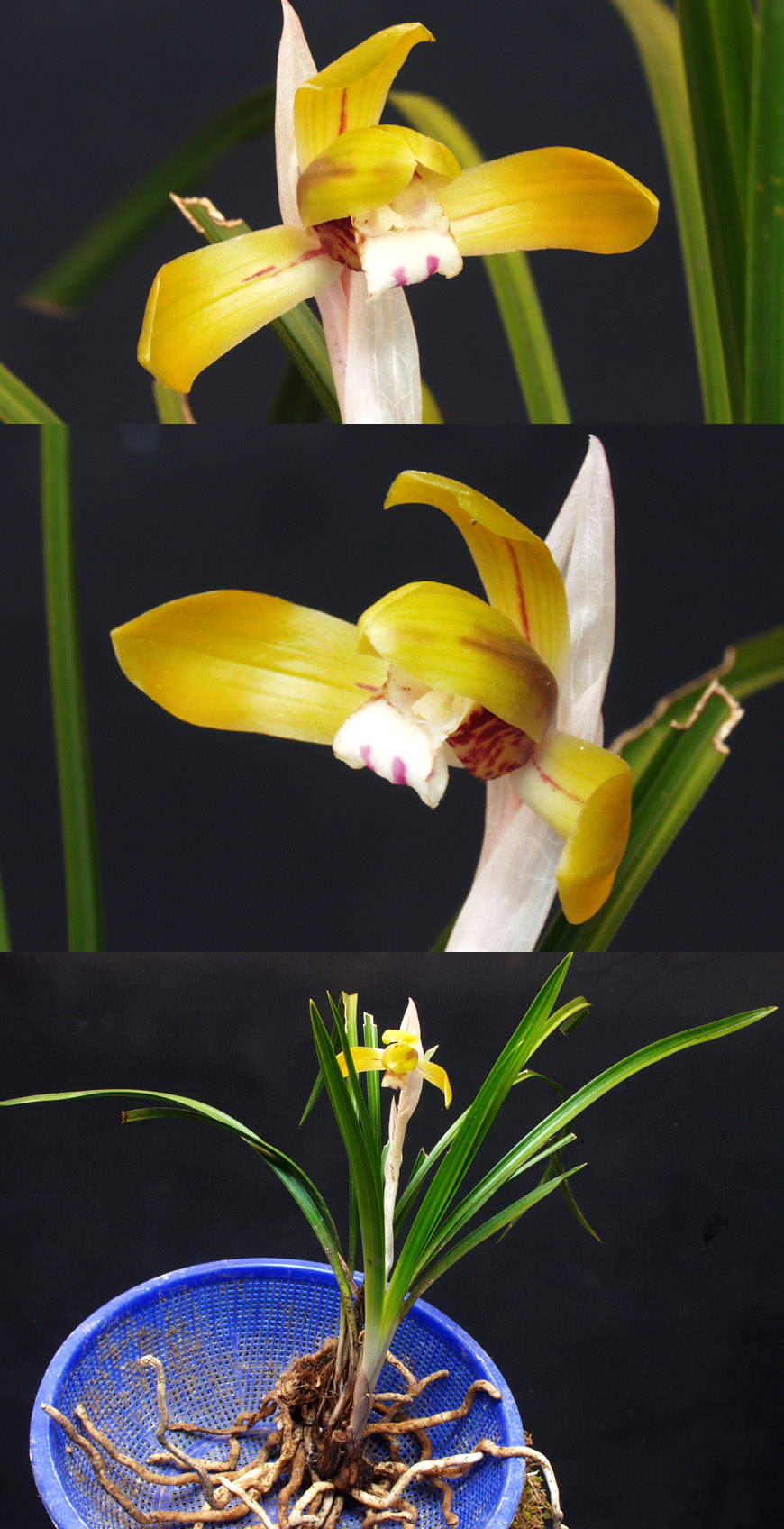 ������ ū������ �� �� �ֽ��ϴ�.