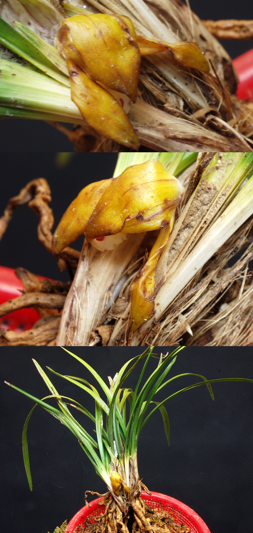 ������ ū������ �� �� �ֽ��ϴ�.