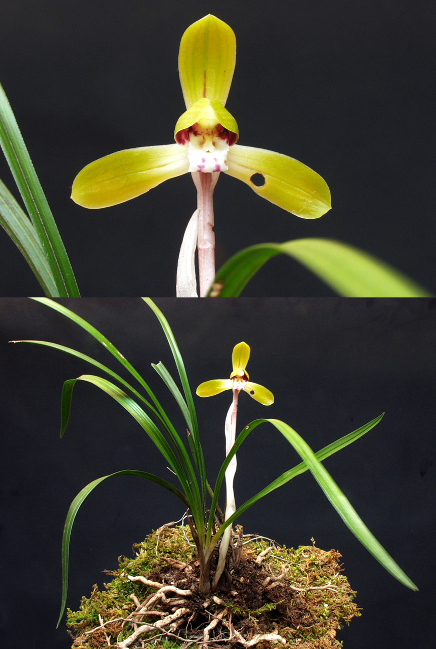 ������ ū������ �� �� �ֽ��ϴ�.