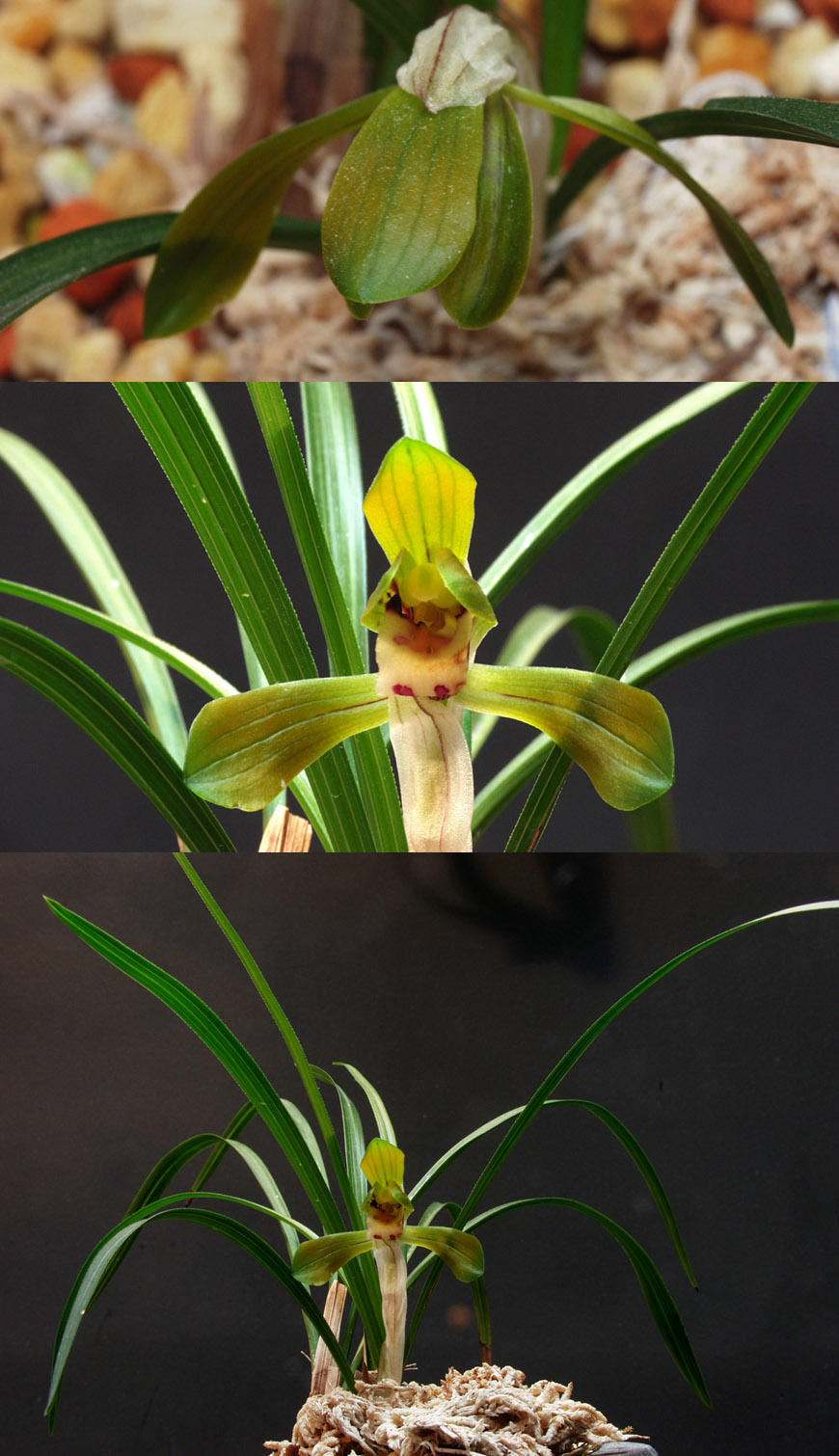 ������ ū������ �� �� �ֽ��ϴ�.