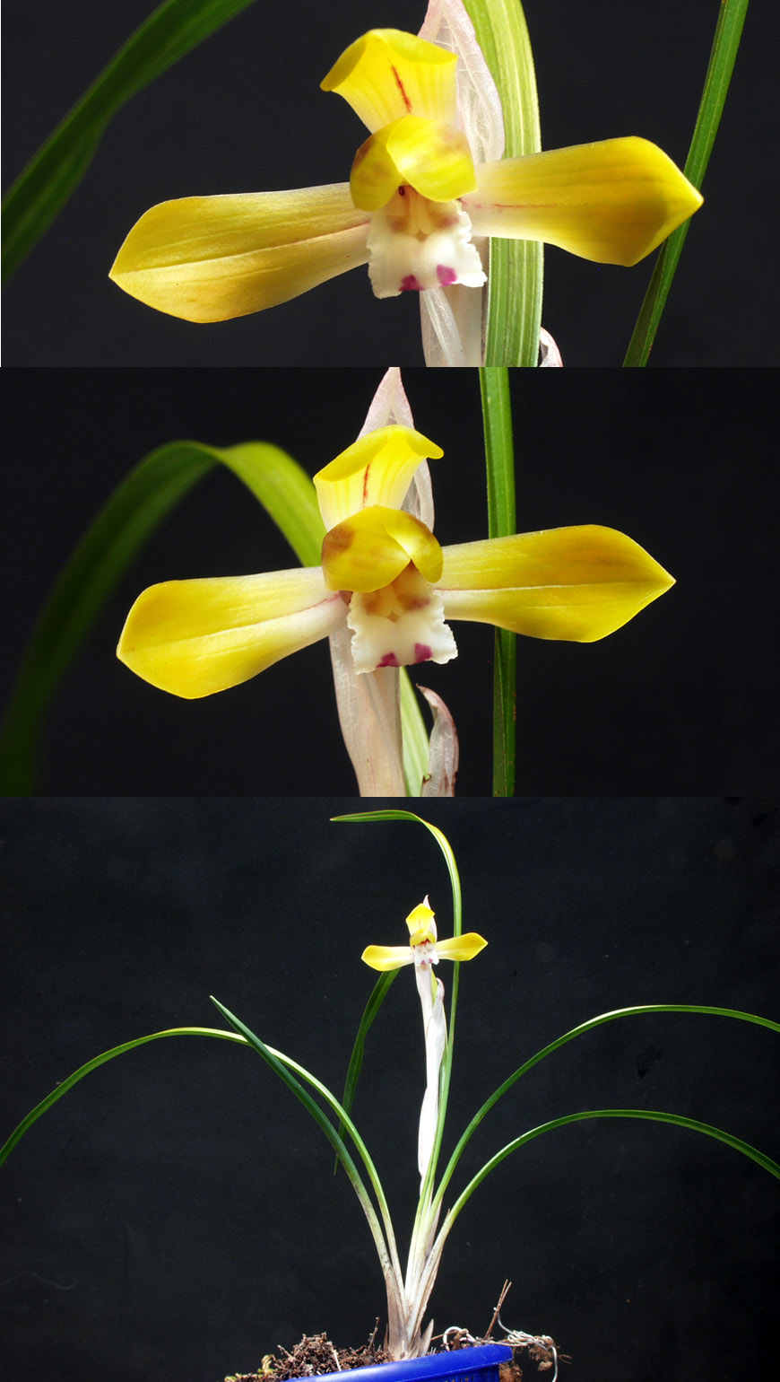 ������ ū������ �� �� �ֽ��ϴ�.