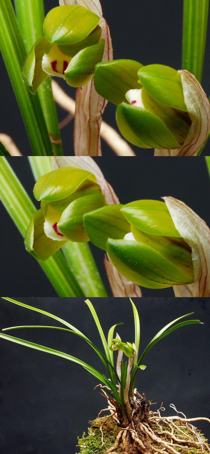 ������ ū������ �� �� �ֽ��ϴ�.