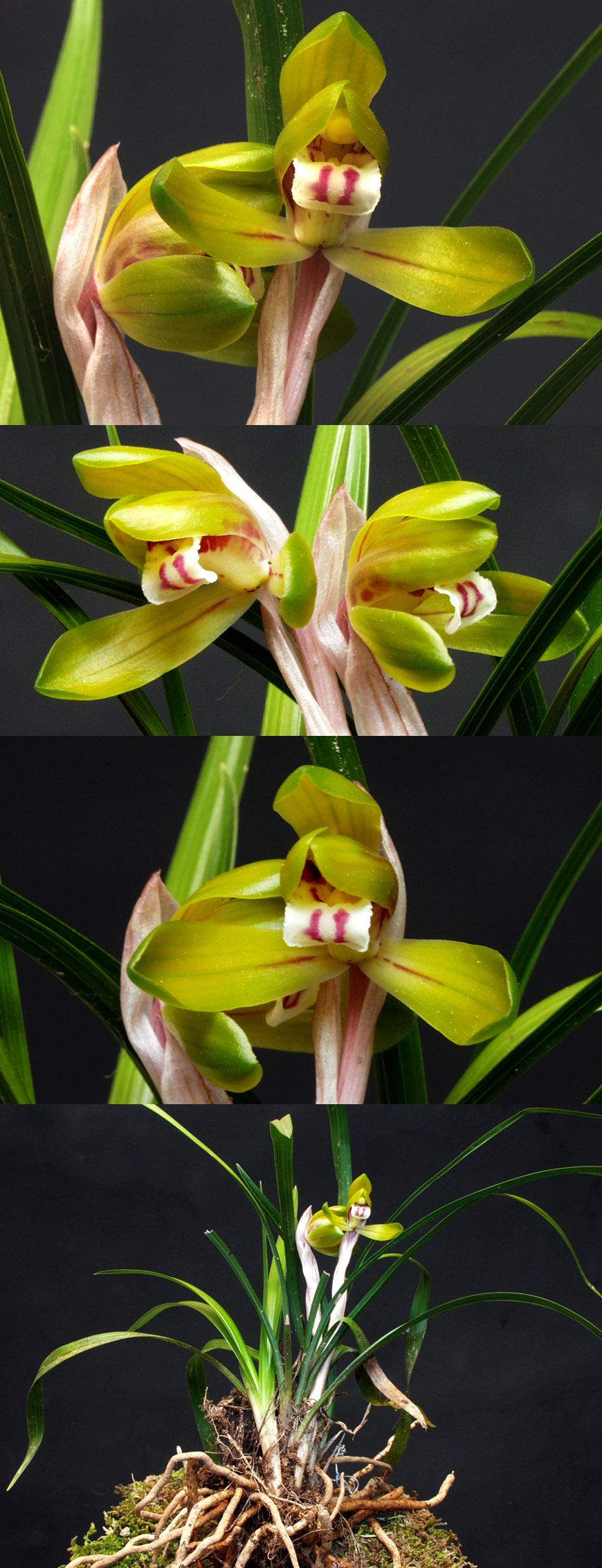 ������ ū������ �� �� �ֽ��ϴ�.