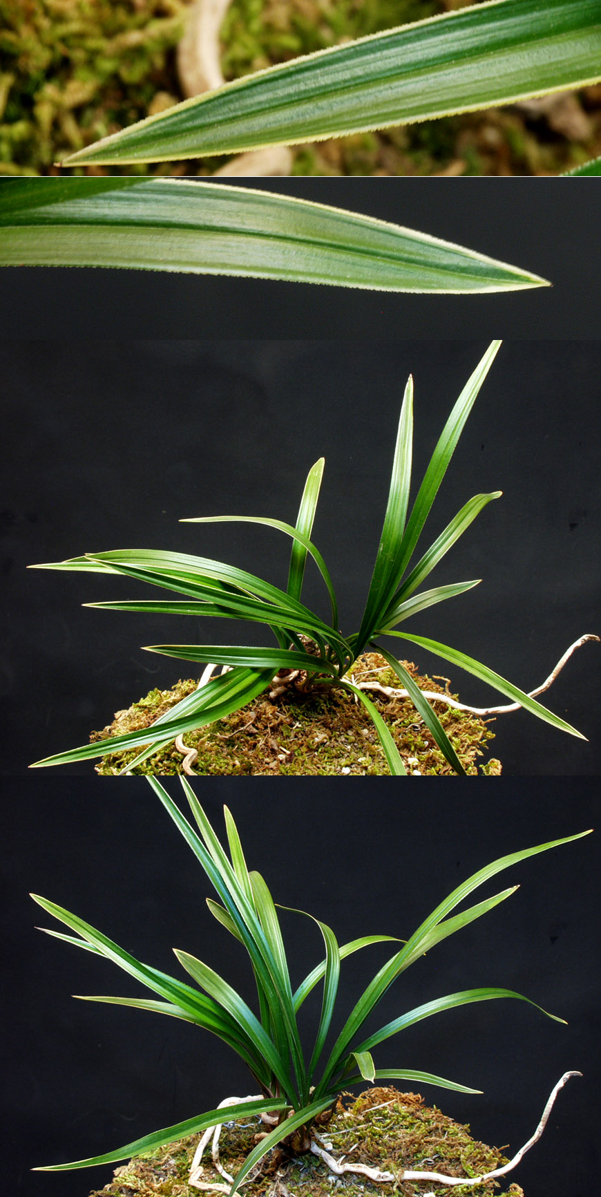 ������ ū������ �� �� �ֽ��ϴ�.