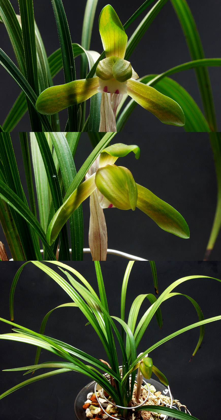 ������ ū������ �� �� �ֽ��ϴ�.