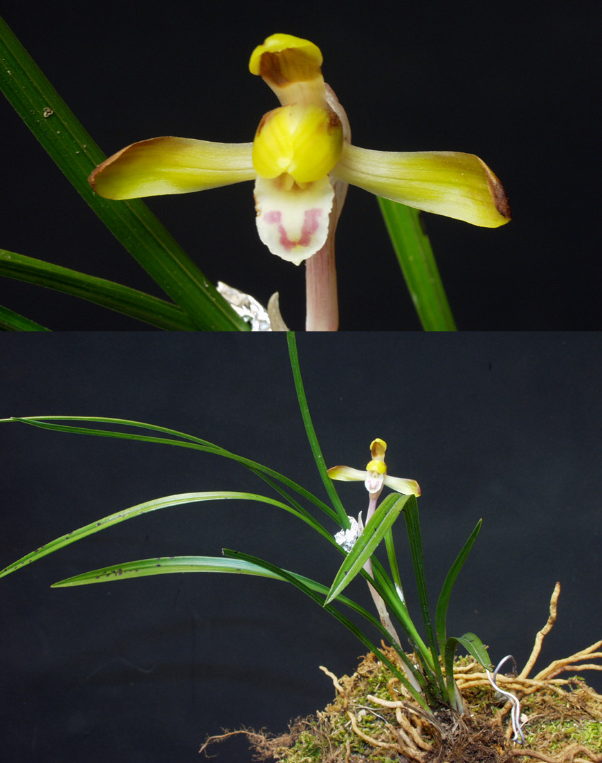 ������ ū������ �� �� �ֽ��ϴ�.