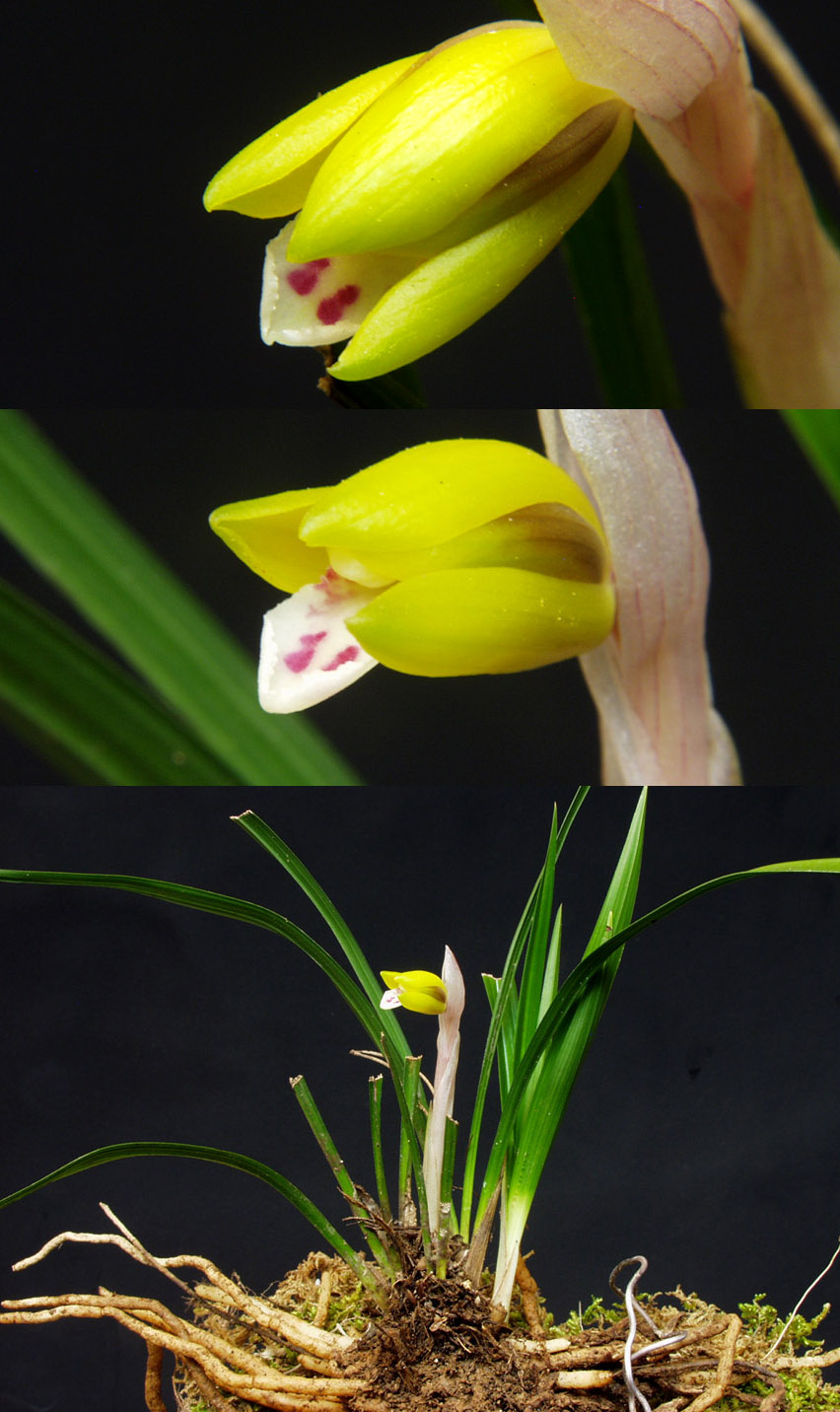 ������ ū������ �� �� �ֽ��ϴ�.