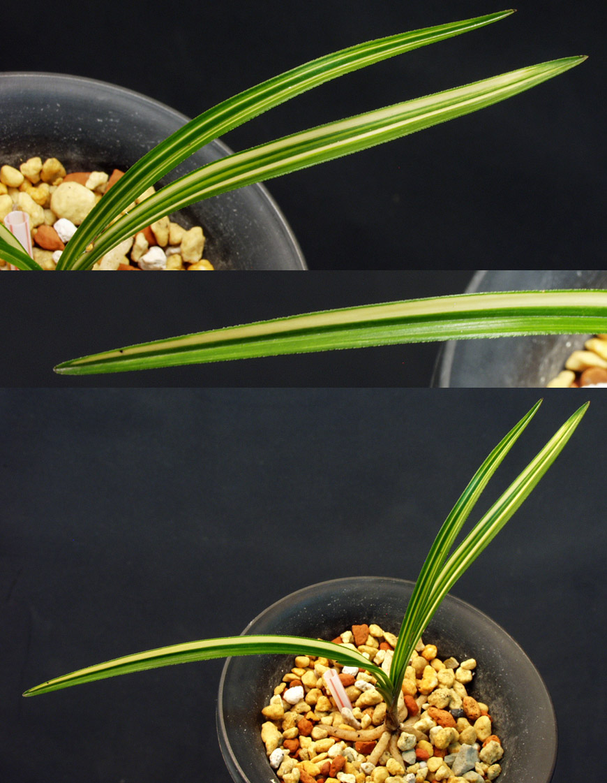 ������ ū������ �� �� �ֽ��ϴ�.