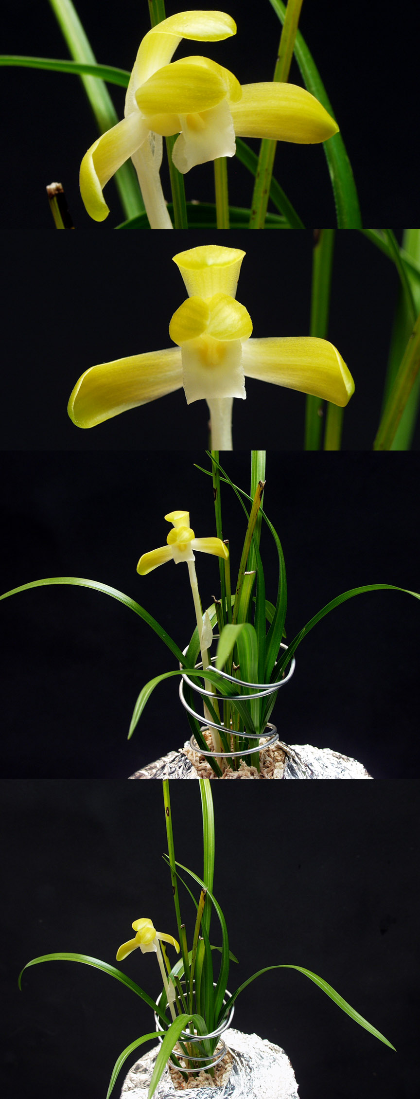 ������ ū������ �� �� �ֽ��ϴ�.