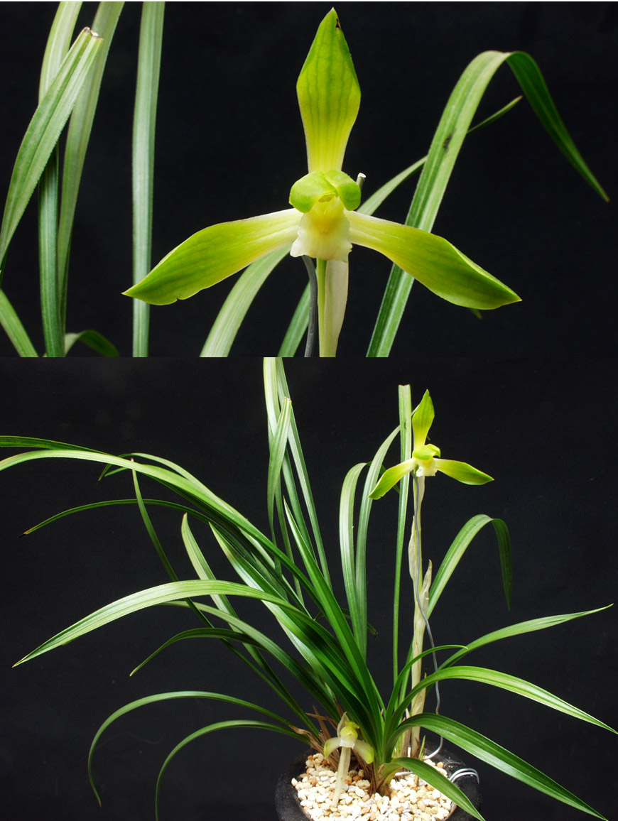 ������ ū������ �� �� �ֽ��ϴ�.