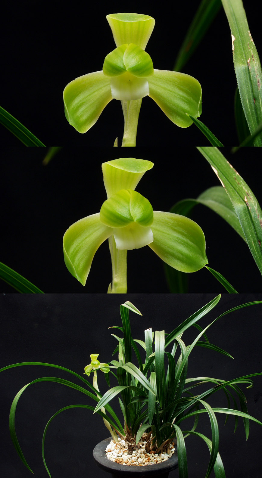 ������ ū������ �� �� �ֽ��ϴ�.