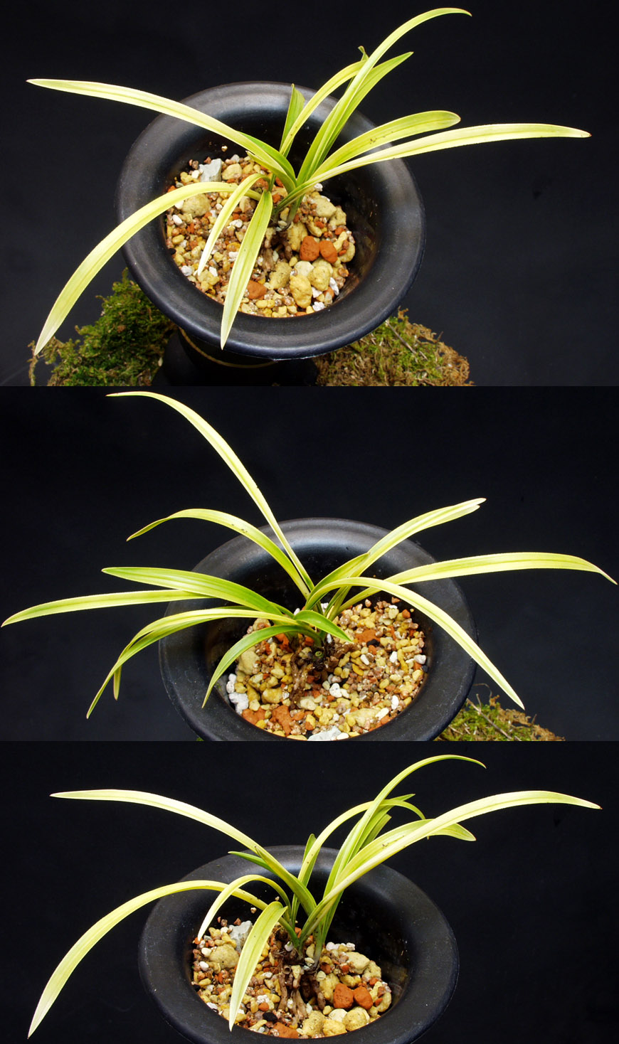 ������ ū������ �� �� �ֽ��ϴ�.