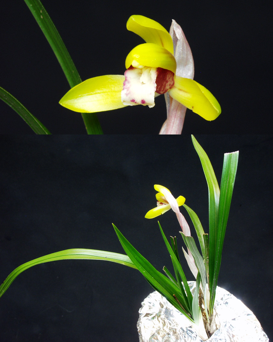 ������ ū������ �� �� �ֽ��ϴ�.