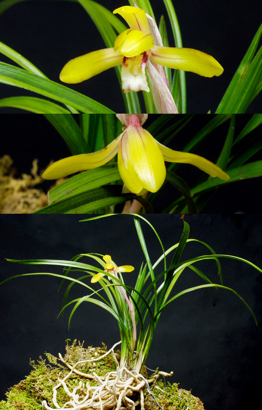 ������ ū������ �� �� �ֽ��ϴ�.