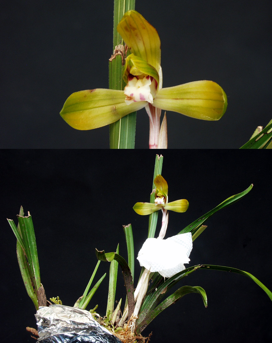 ������ ū������ �� �� �ֽ��ϴ�.