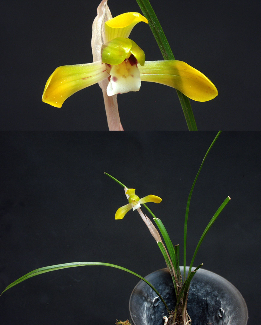 ������ ū������ �� �� �ֽ��ϴ�.