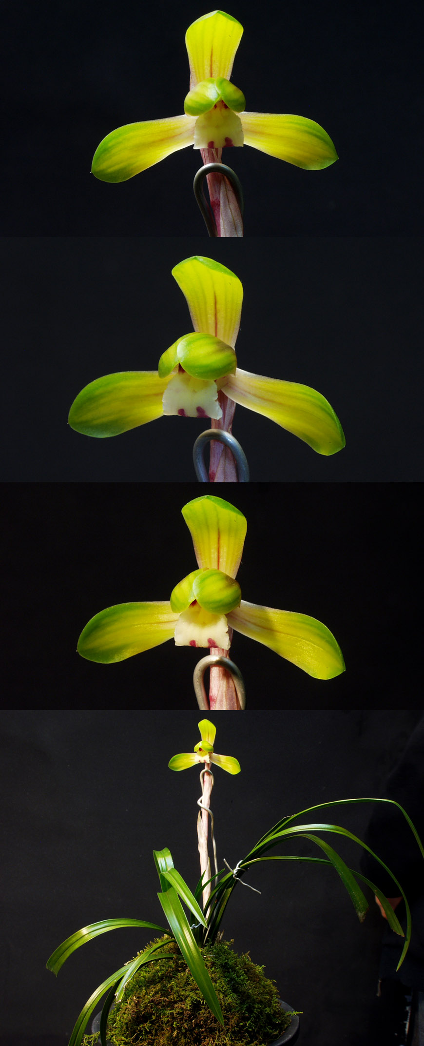 ������ ū������ �� �� �ֽ��ϴ�.