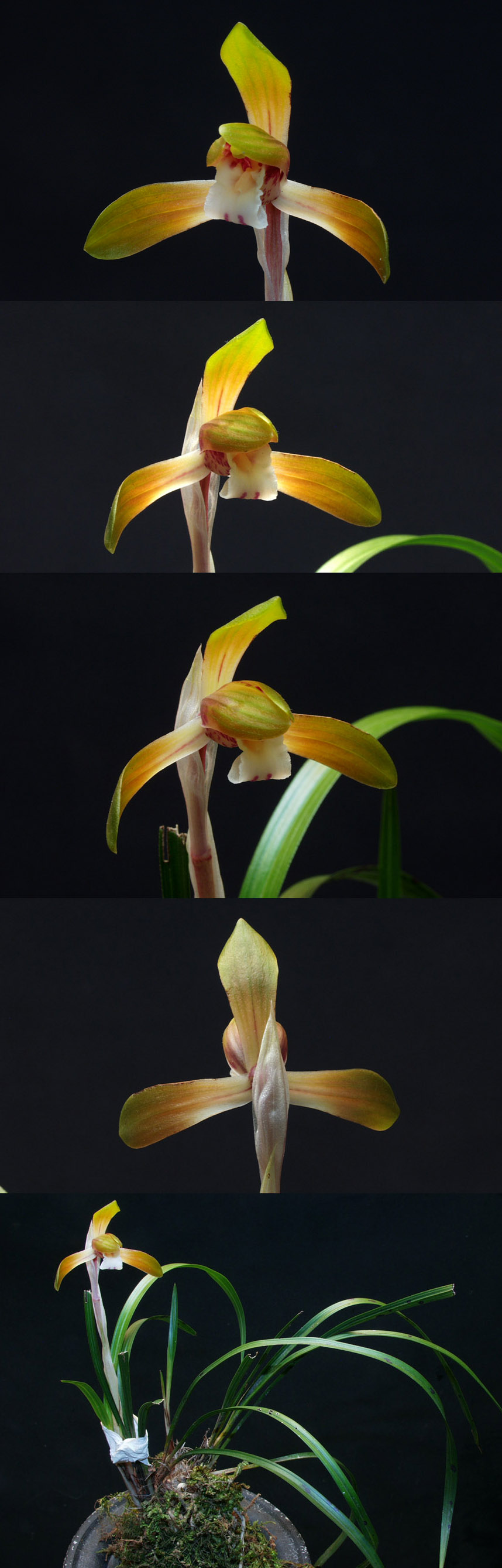 ������ ū������ �� �� �ֽ��ϴ�.