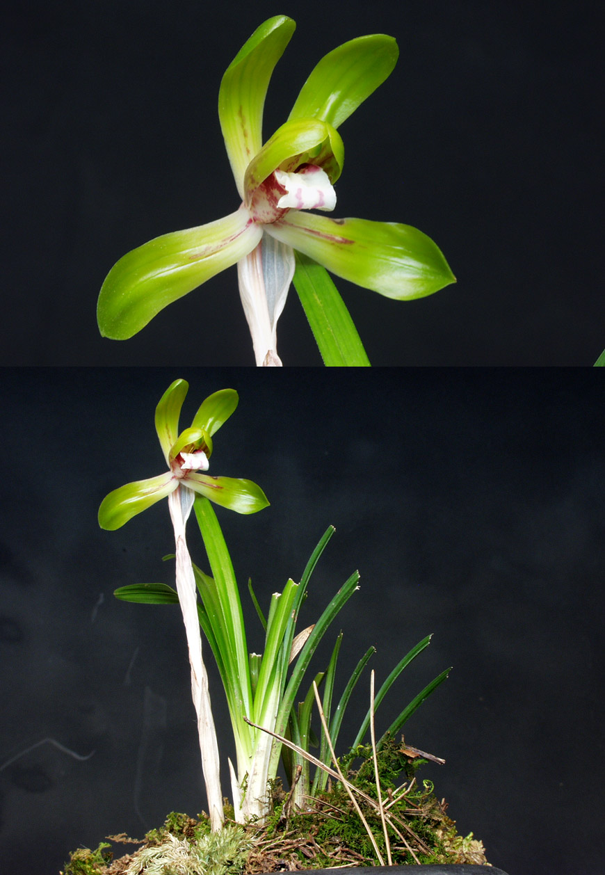 ������ ū������ �� �� �ֽ��ϴ�.