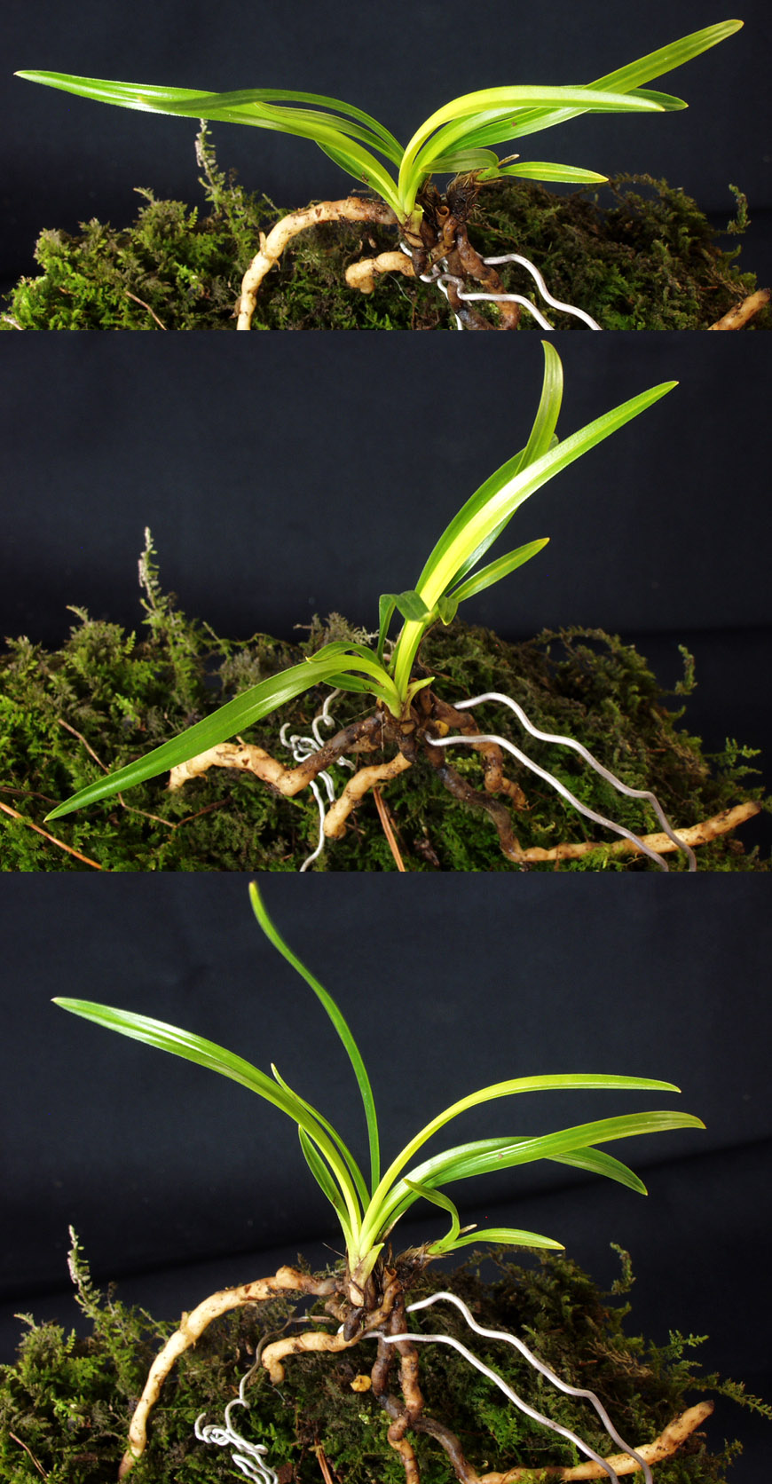 ������ ū������ �� �� �ֽ��ϴ�.