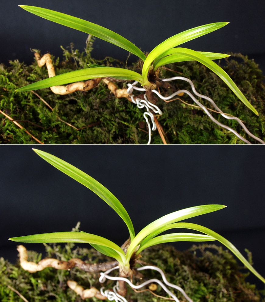 ������ ū������ �� �� �ֽ��ϴ�.