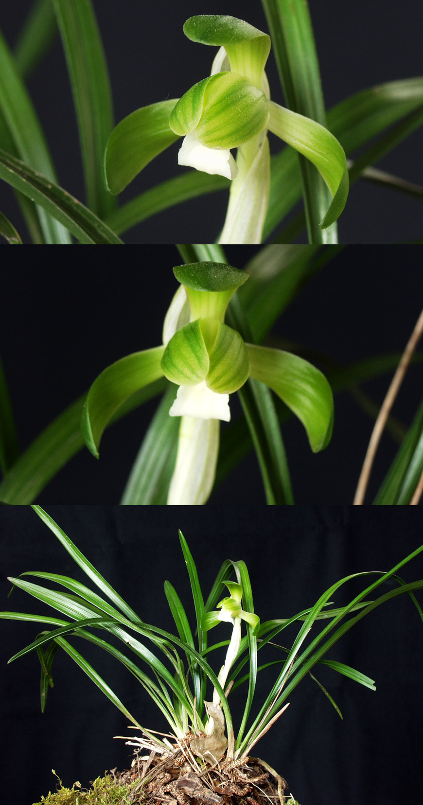 ������ ū������ �� �� �ֽ��ϴ�.