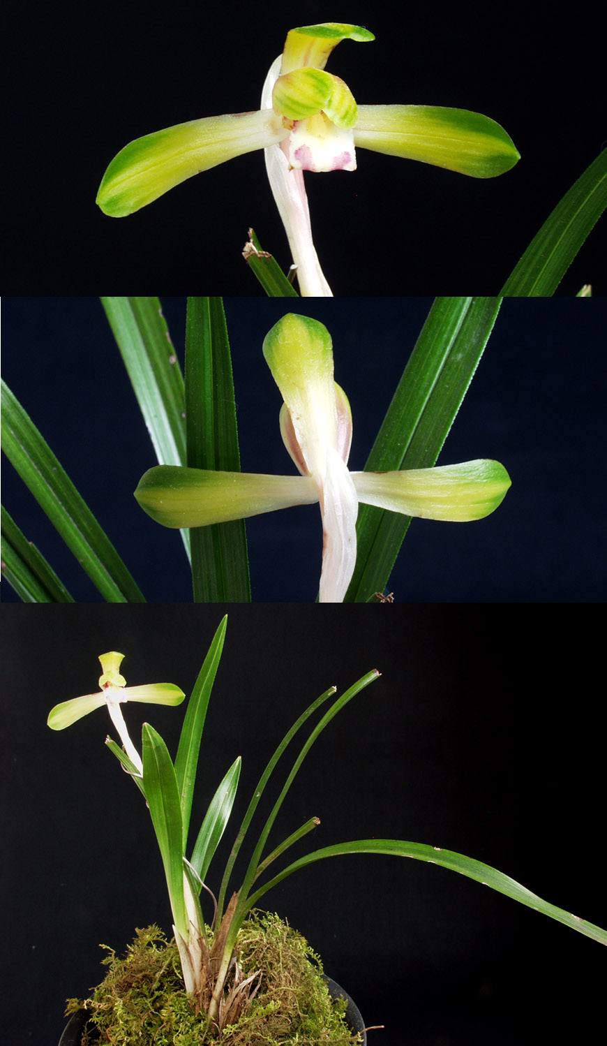 ������ ū������ �� �� �ֽ��ϴ�.