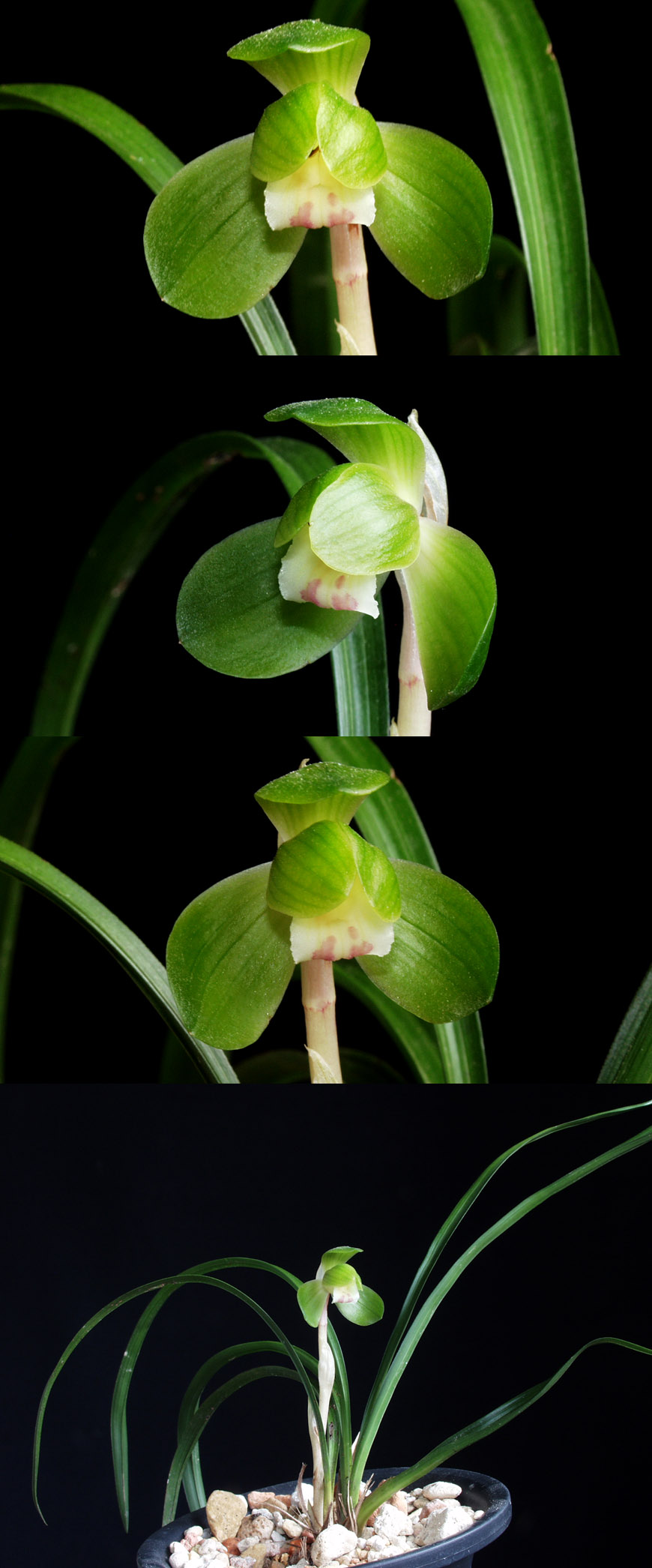 ������ ū������ �� �� �ֽ��ϴ�.