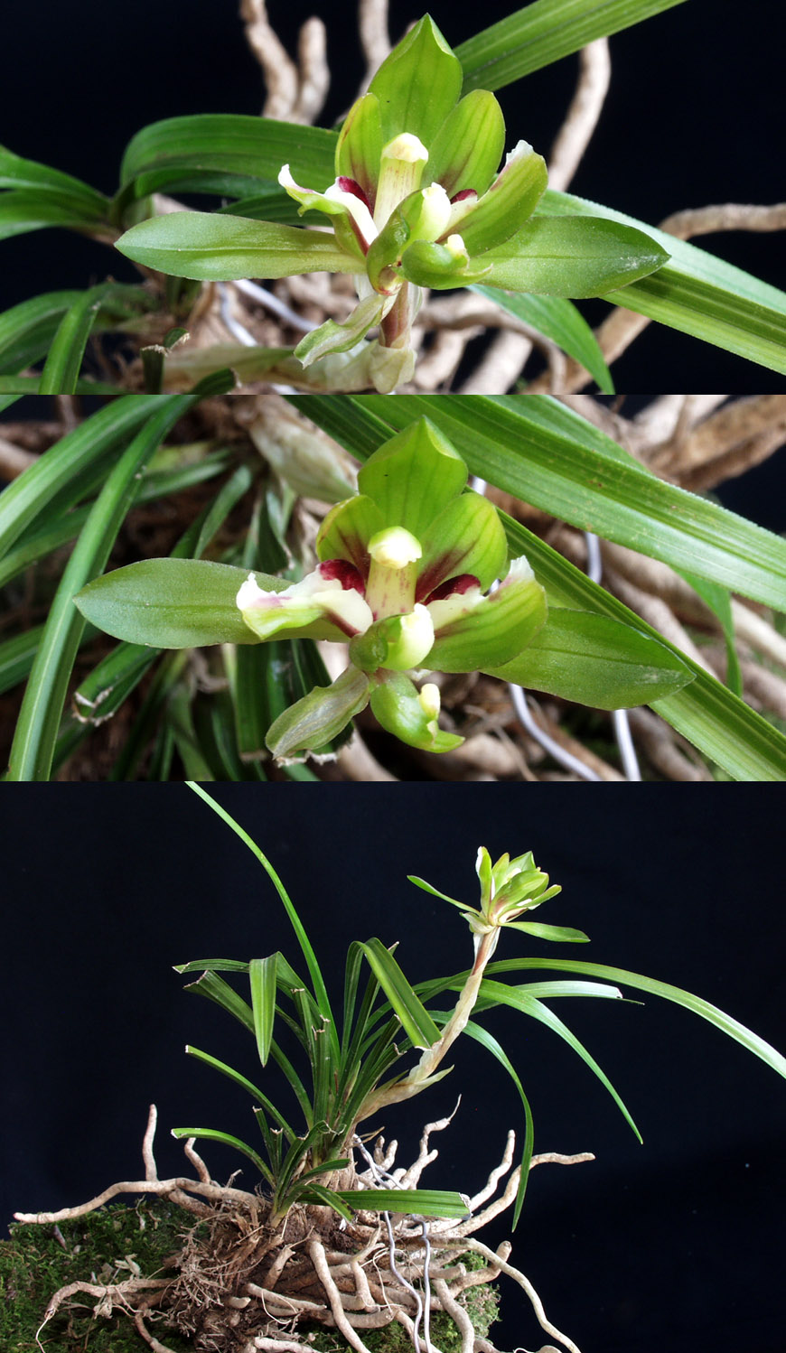 ������ ū������ �� �� �ֽ��ϴ�.