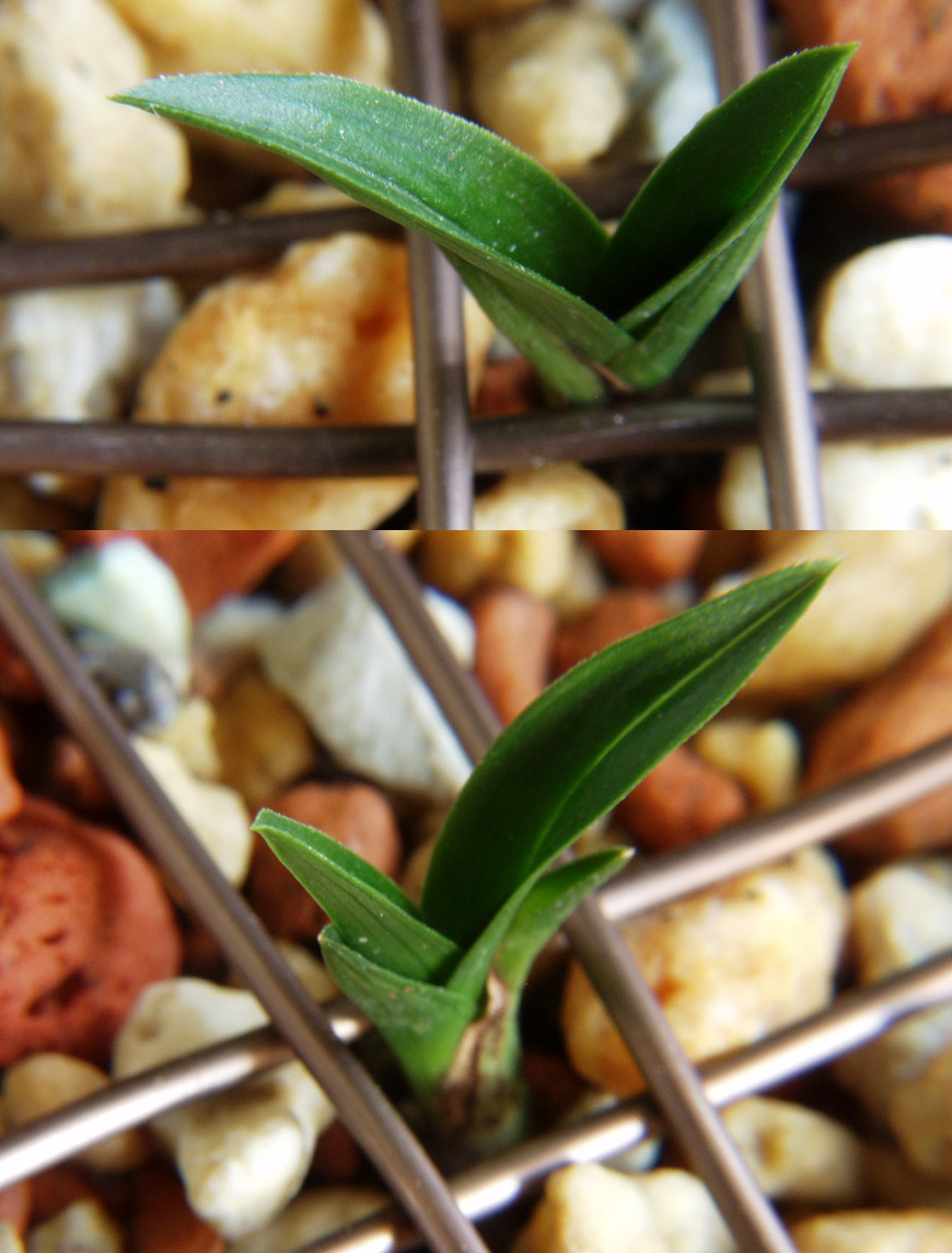 ������ ū������ �� �� �ֽ��ϴ�.